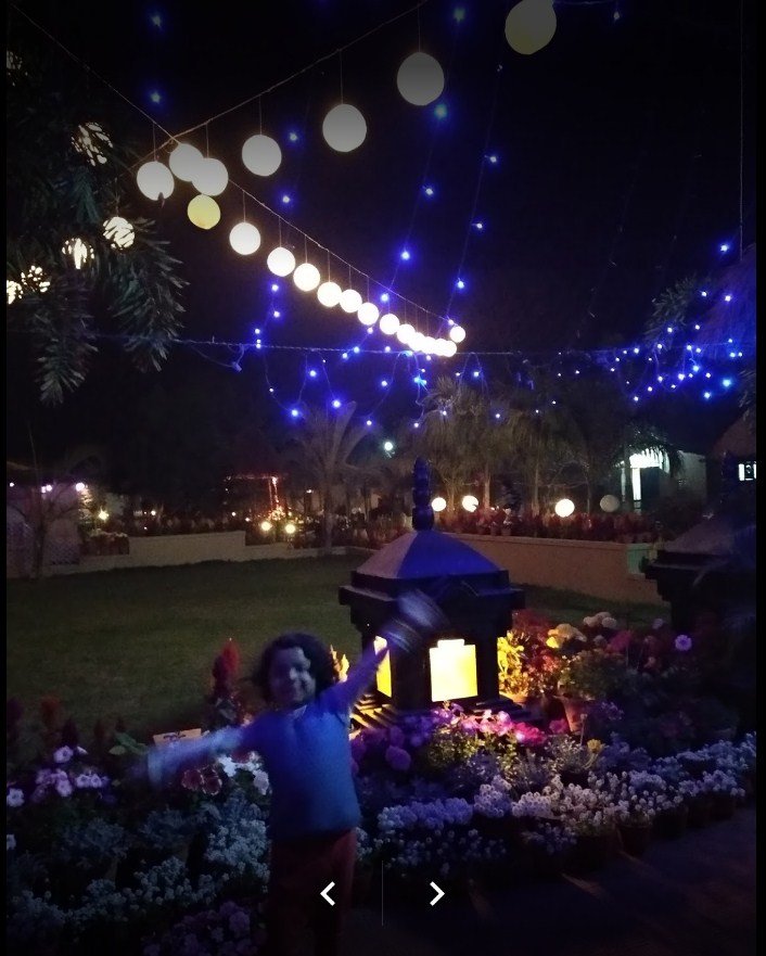 FarmVille Boutique Resort-官方