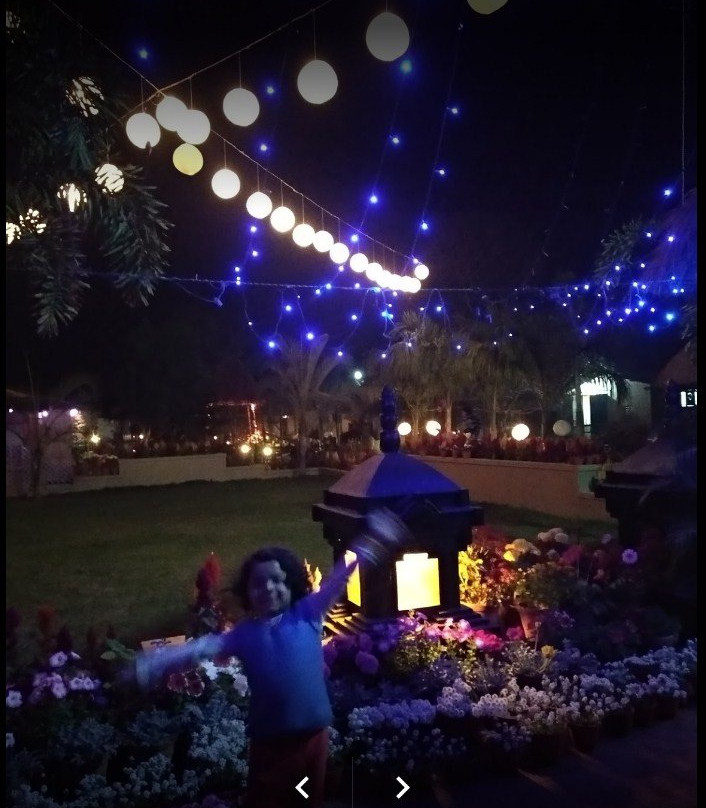 FarmVille Boutique Resort主图