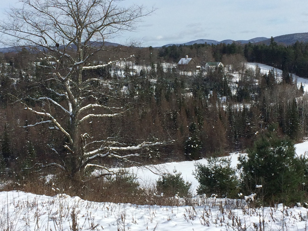 Pie-in-the-Sky Farm Bed & Breakfast主图