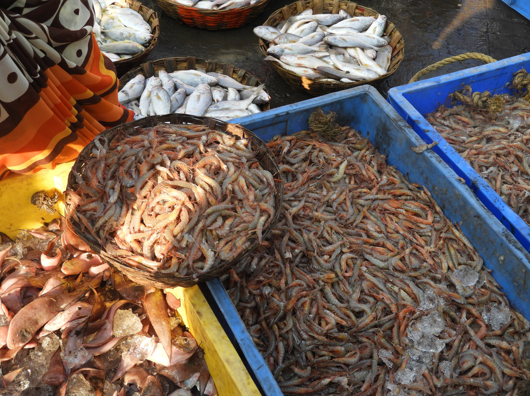 Harnai Fish Market景点图片