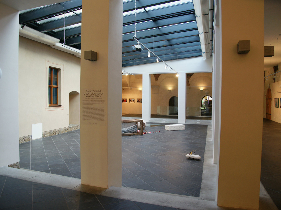 Arts House Opava景点图片