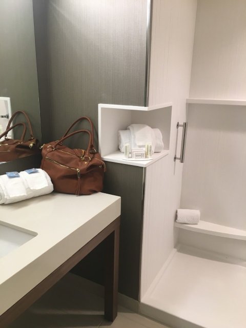 Courtyard Omaha East/Council Bluffs, IA-浴室