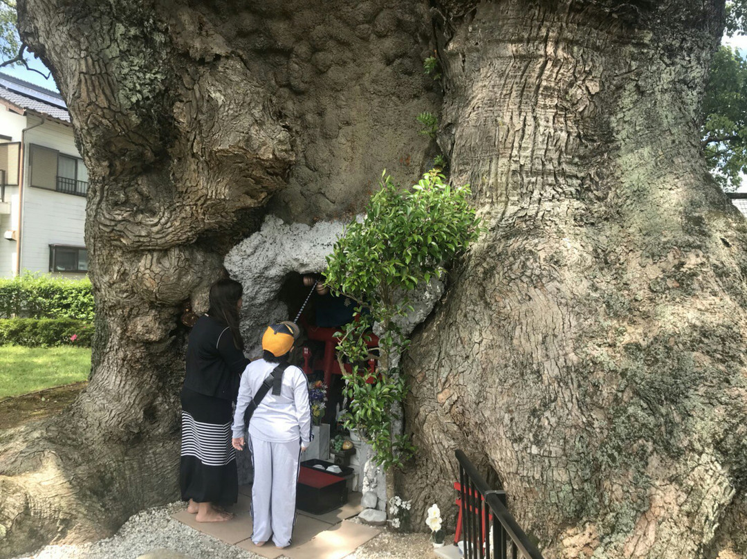 Kawagono Okusu-武雄市必去景点