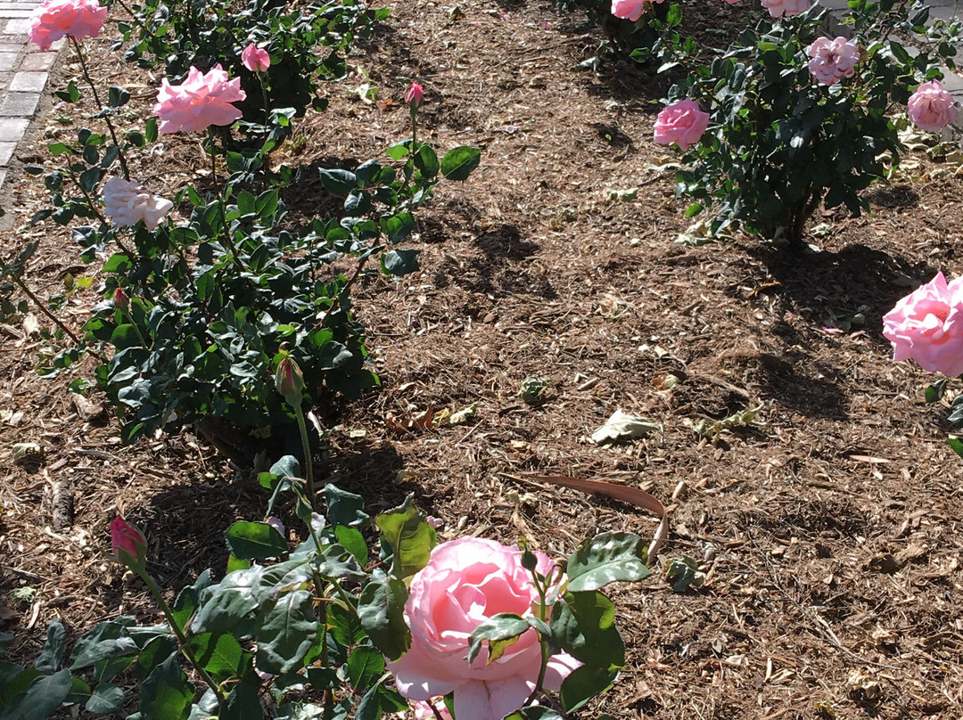Museum of History and Art, Ontario-安大略必去景点