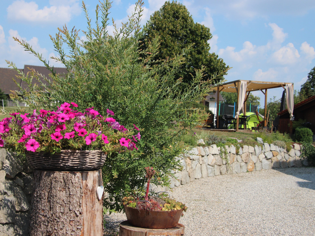 Kramerhof Pension & Appartments主图