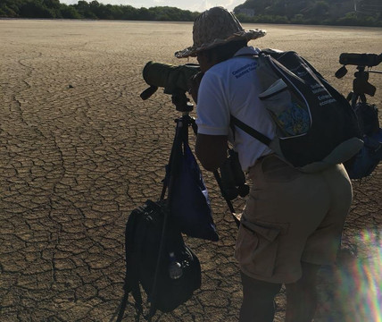 Bamboo Adventures Tours-St. George's必去景点