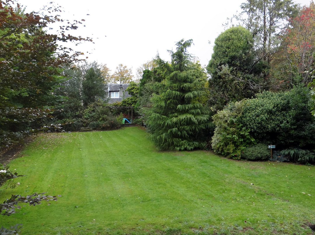 白蜡树别墅酒店主图