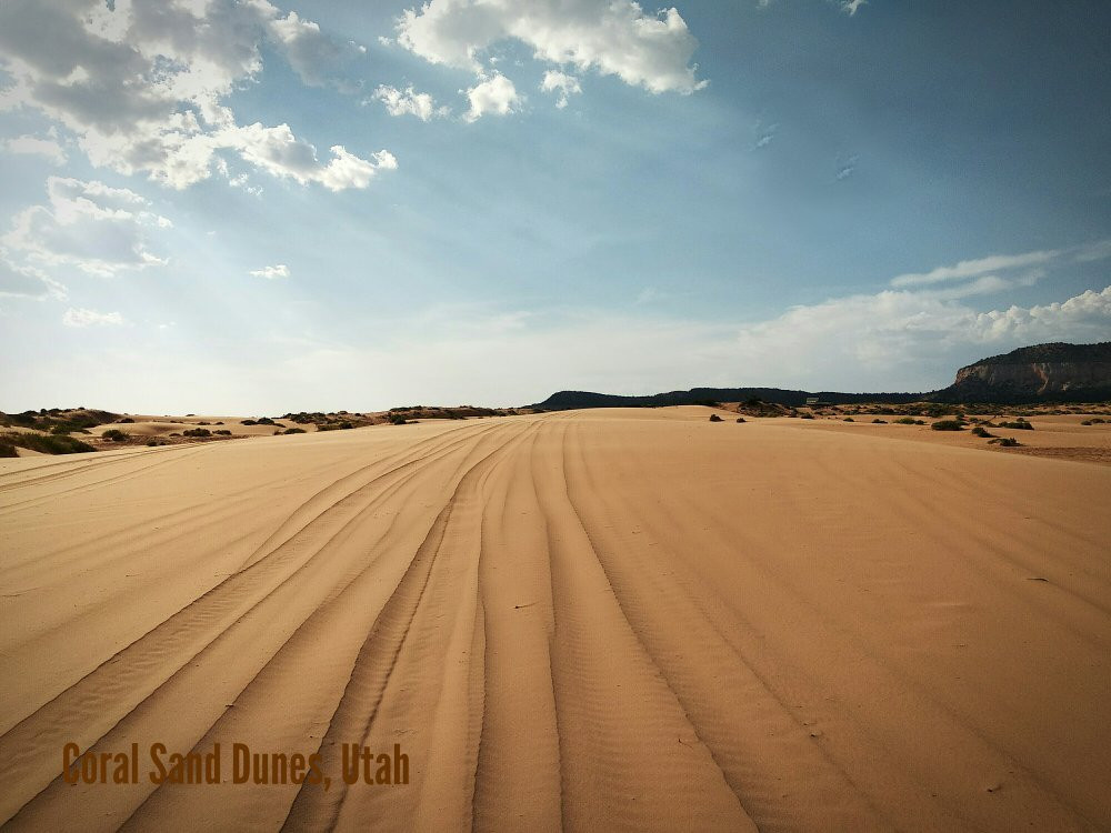 Coral Pink Sand Dunes State Park景点图片