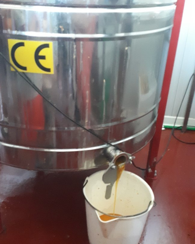 Miellerie de L'abeille de Re-Loix必去景点