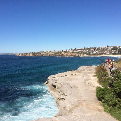 Marks Park-Tamarama必去景点