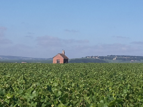 À l'Allure Champenoise-兰斯必去景点