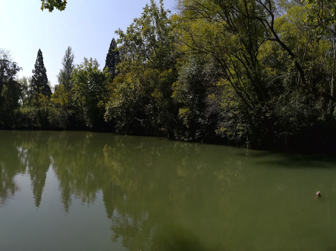 Curia Park-Curia必去景点