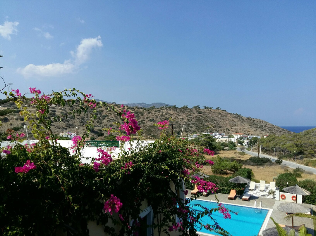 亚历克斯酒店主图