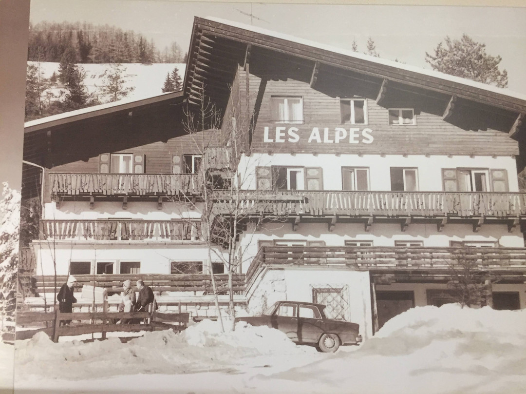 Hotel Les Alpes主图