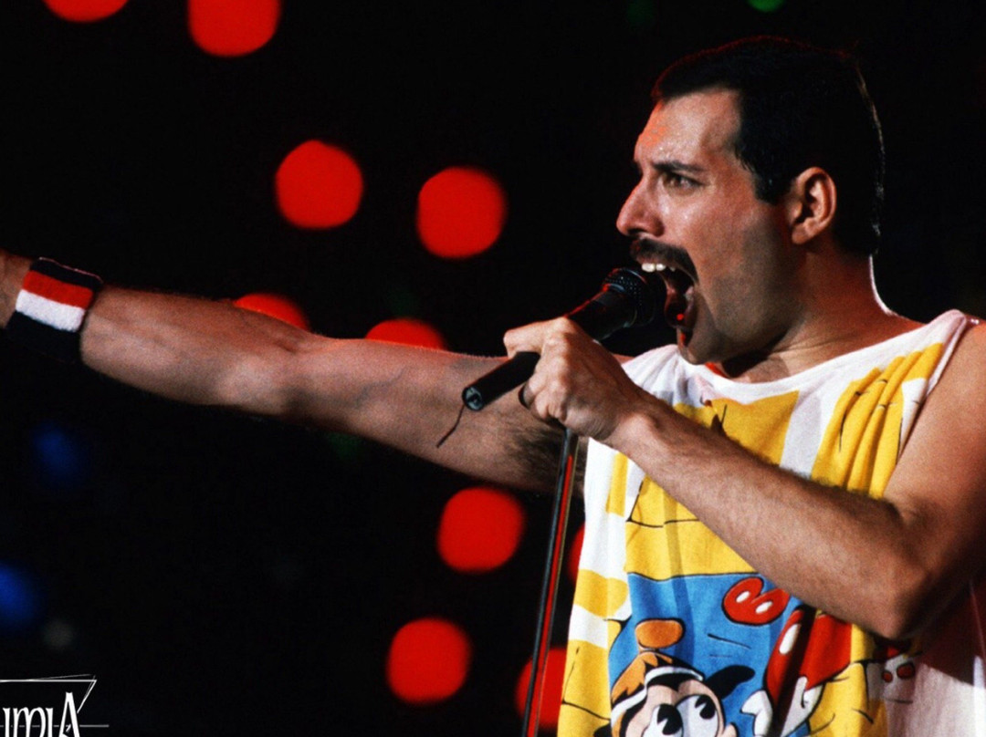 Alkimia-Palmira必去景点