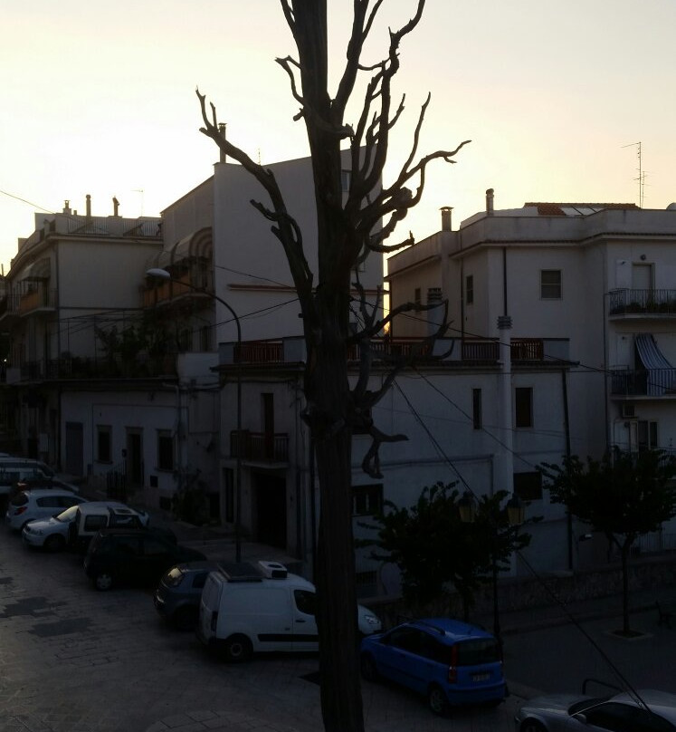 Cipresso di San Francesco景点图片
