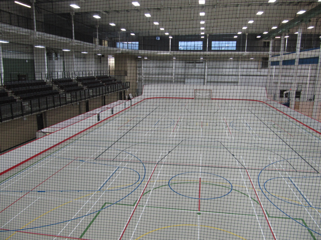 Bold Center-比榭湖必去景点