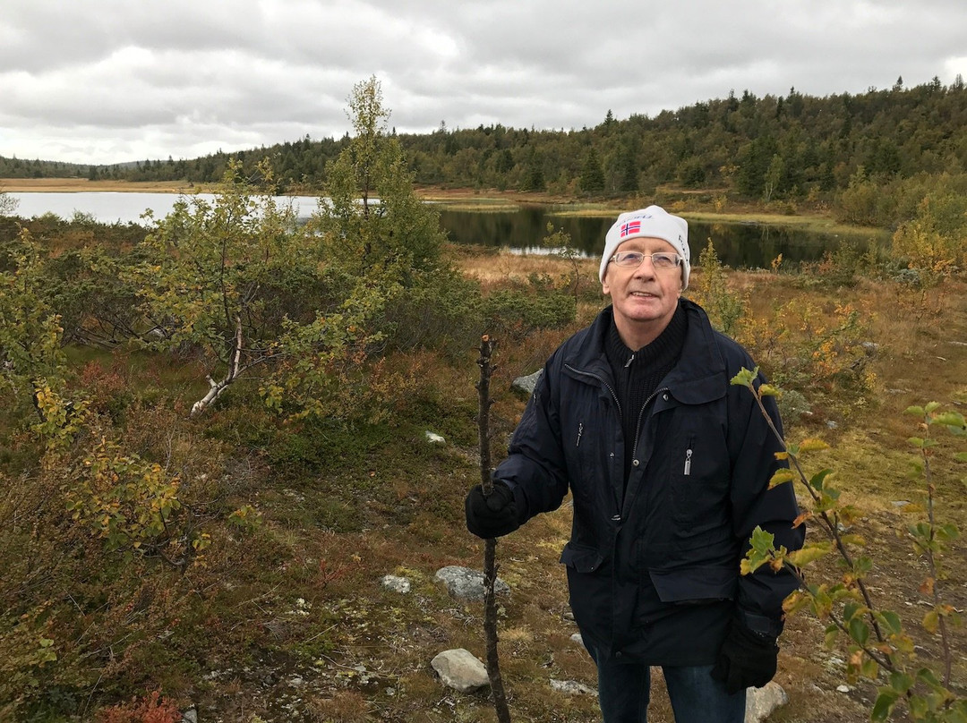 Hornsjø Fjellhotel主图