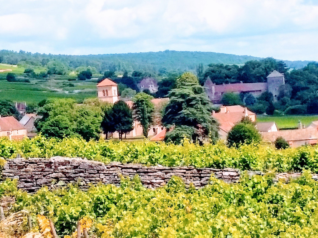 Clos de Bourgogne景点图片
