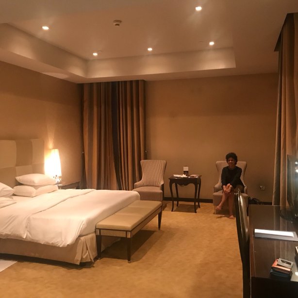 布达佩斯纽约宫殿安纳塔拉酒店 - 立鼎世酒店集团-官方