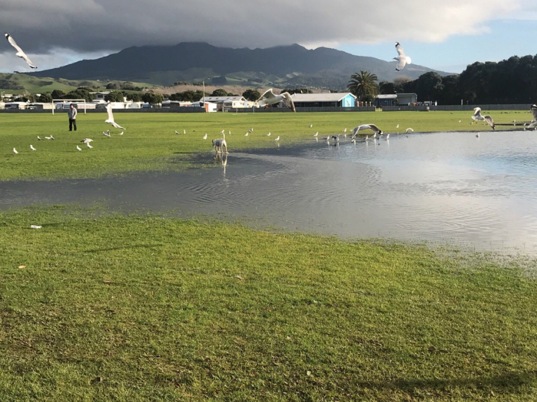 Raglan Domain景点图片