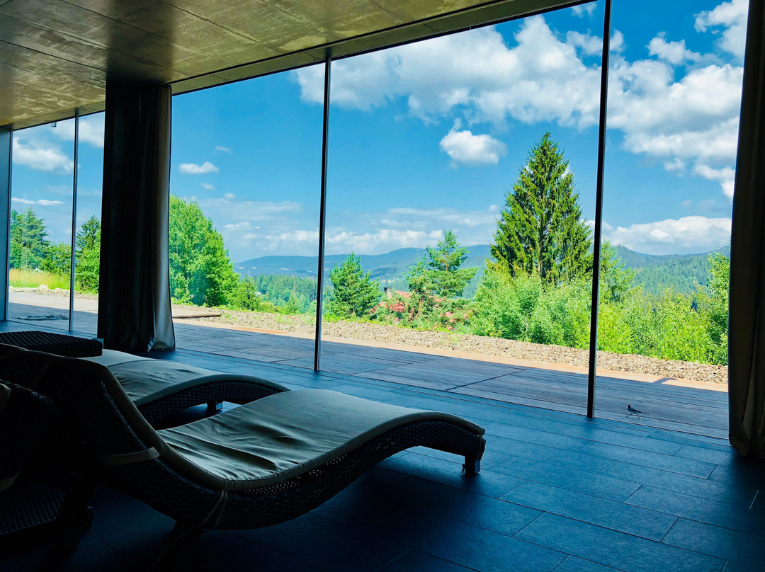 Zlin Region酒店住宿-Endemit Boutique Hotel & Spa