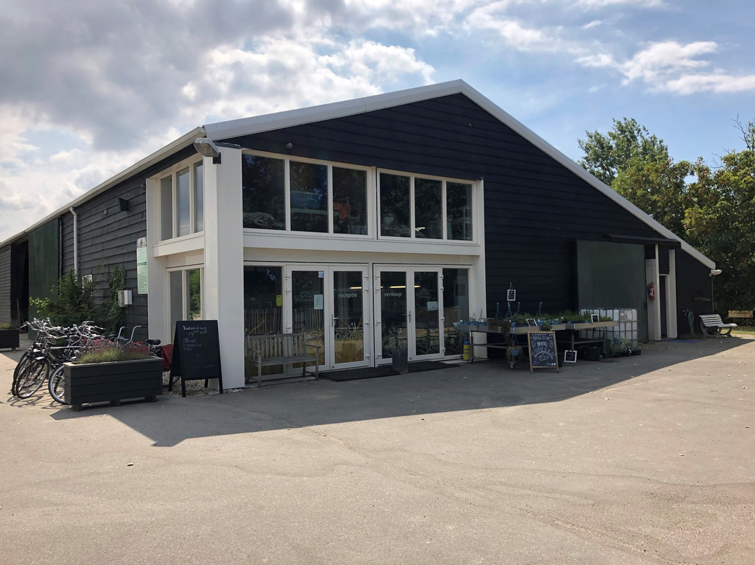 Camping de Heerlijkheid van Wolphaartsdijk