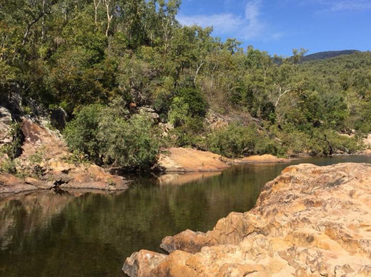 Alligator Falls Track-Alligator Creek必去景点
