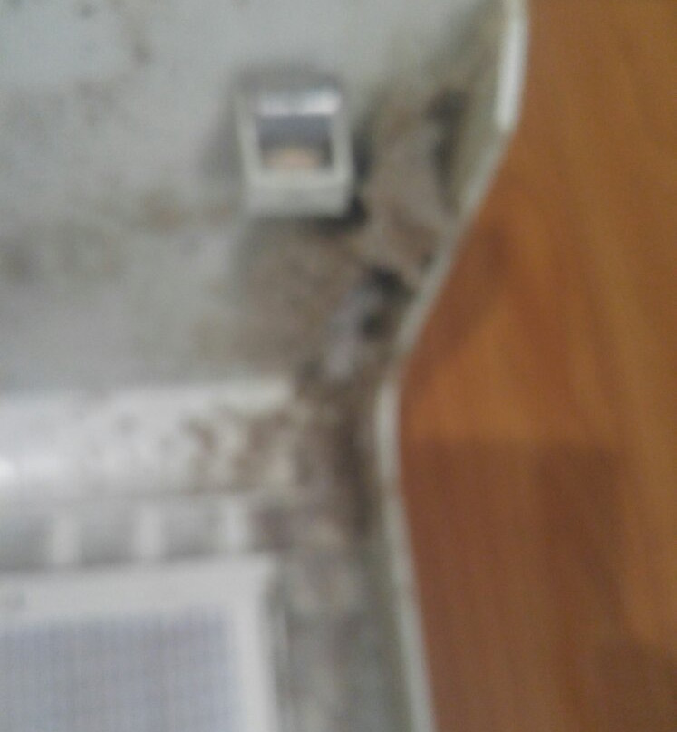 Baymont by Wyndham Davenport主图