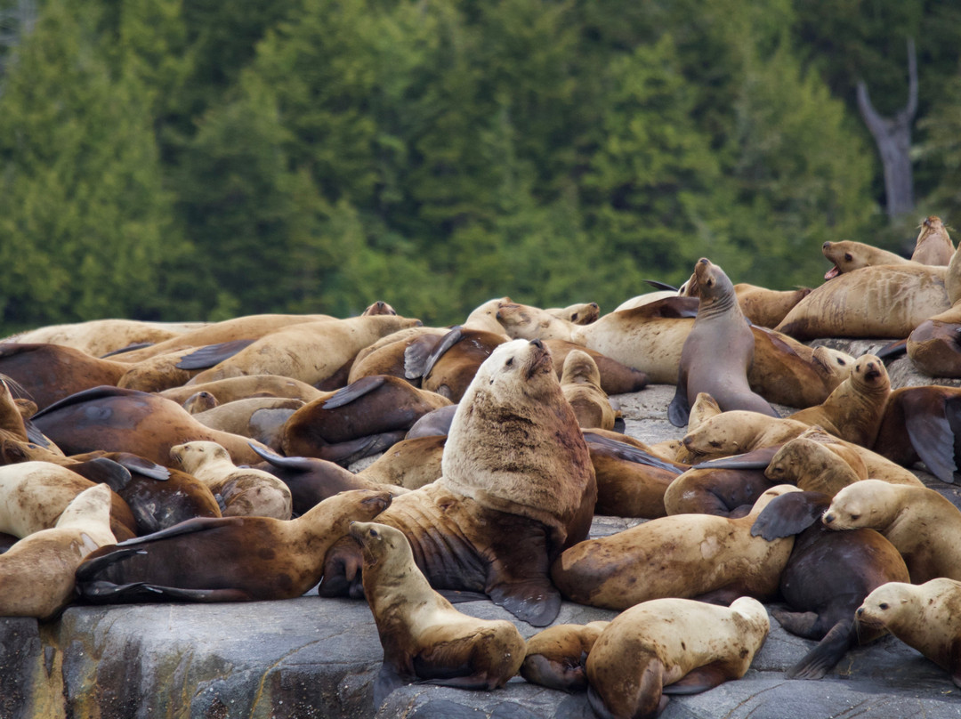 k'awat'si Tours-哈迪港必去景点