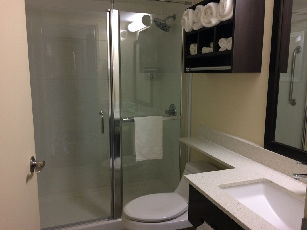 Quality Inn & Suites Bathurst主图