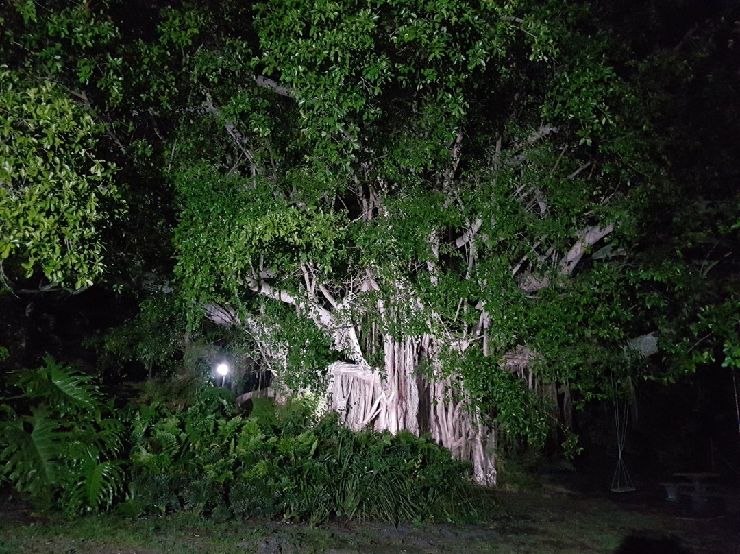 Voëlroepersfontein Guest House & Writers' Retreat主图