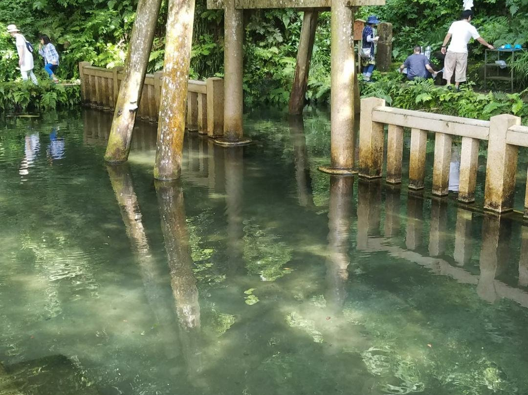 Mitarashi Pond景点图片