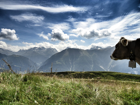 Swiss Travel Guide-苏黎世必去景点