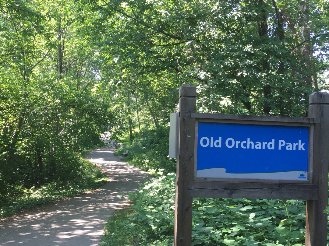 Old Orchard Park-穆迪港必去景点