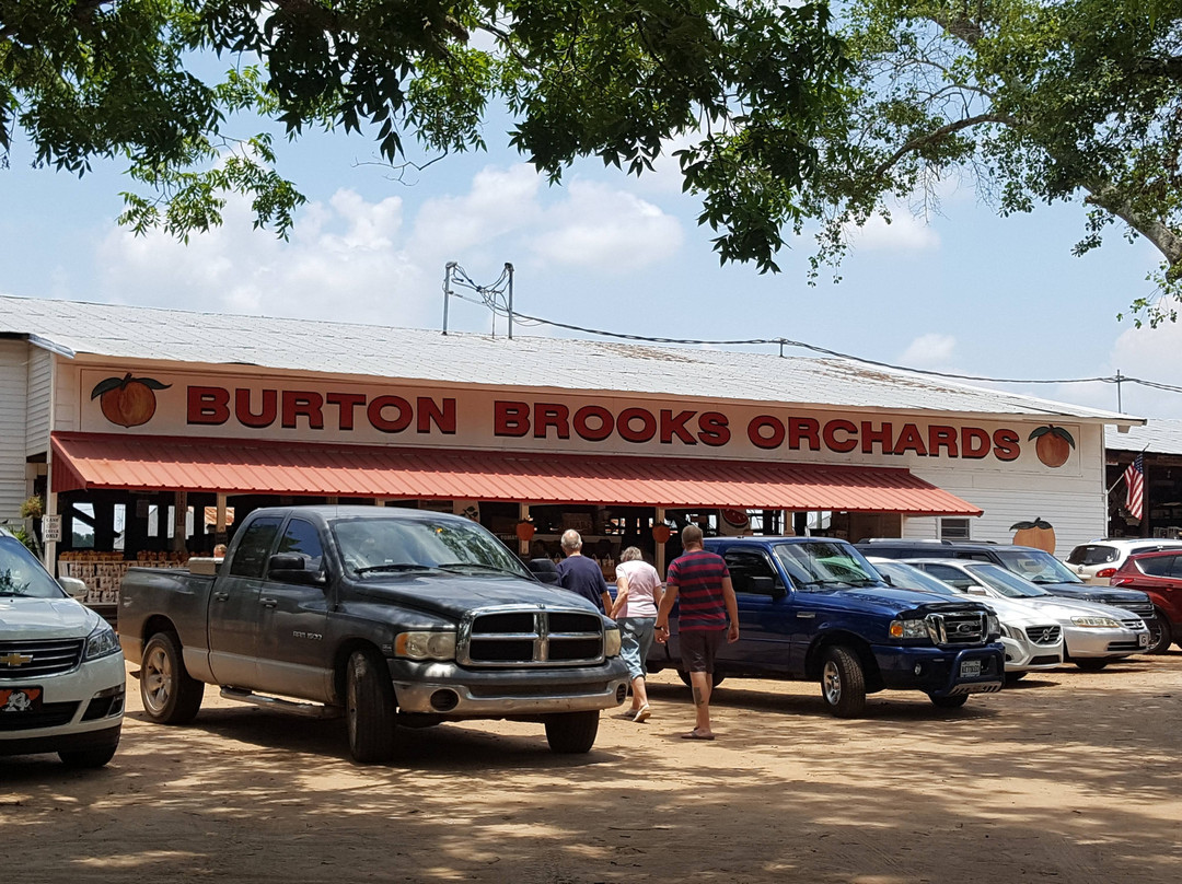 Burton Brooks Peach Orchard景点图片