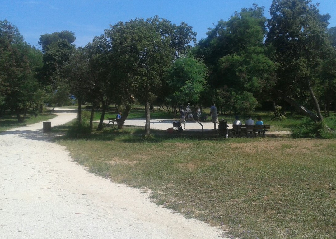 Parc Areca景点图片