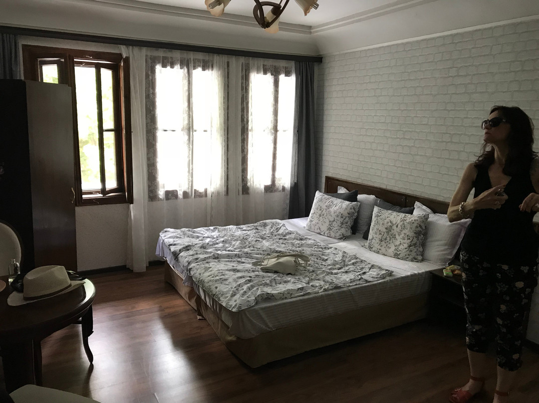 Hotel Minaliat Vek主图