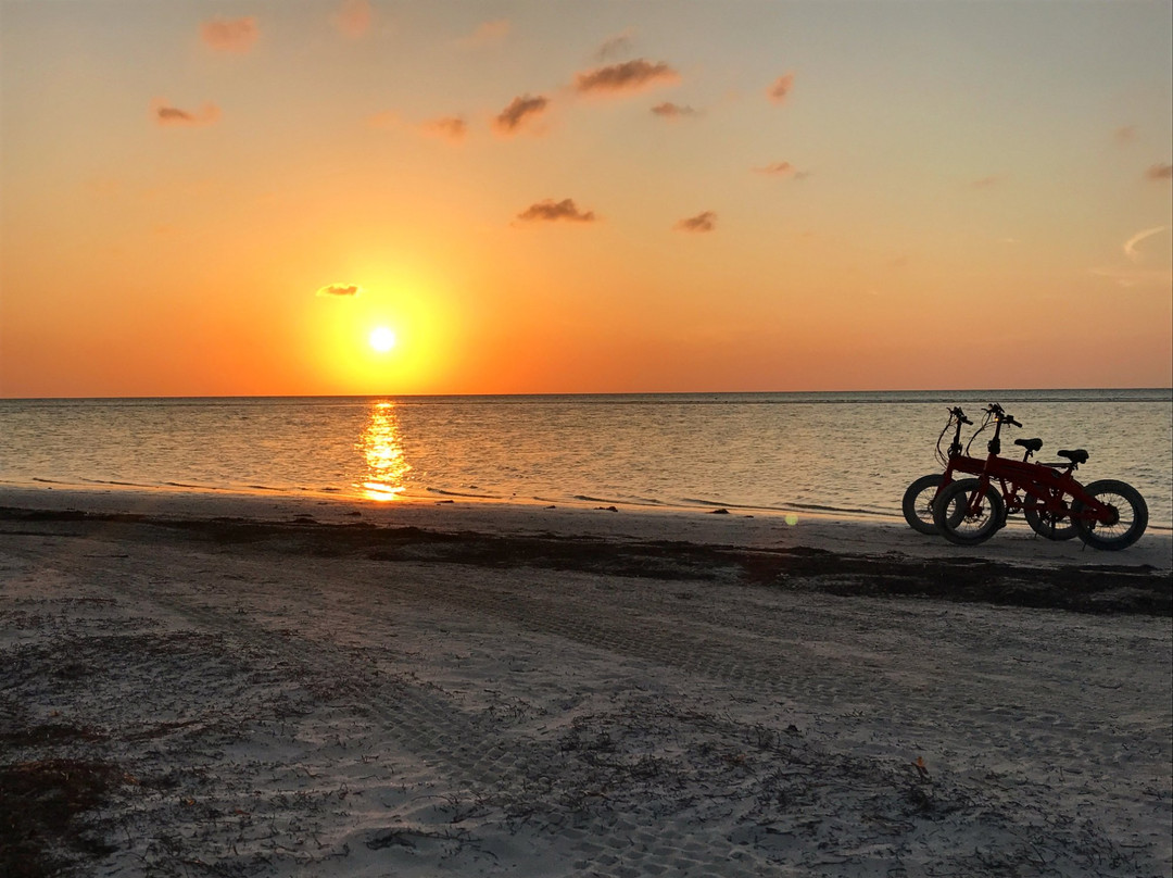 Playitas Ecobikes景点图片
