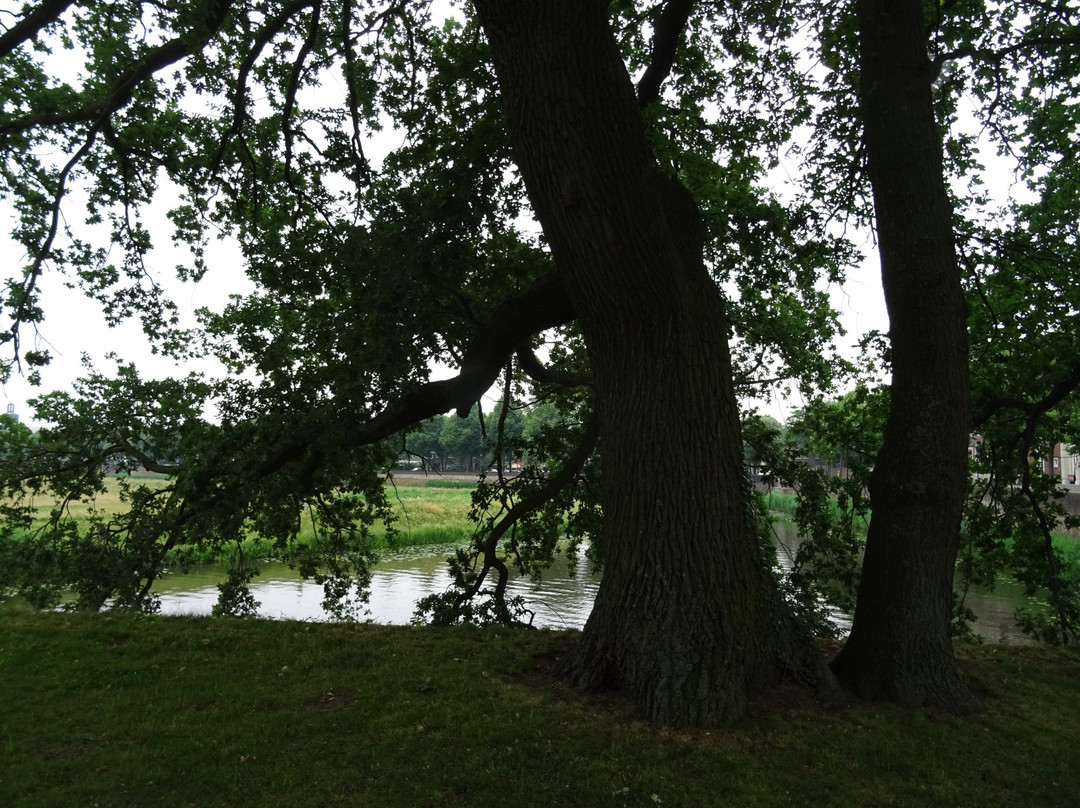 Zuiderpark Den Bosch景点图片