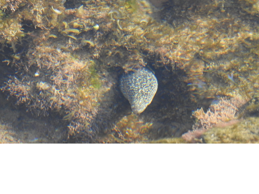 Sodwana Bay Lodge主图