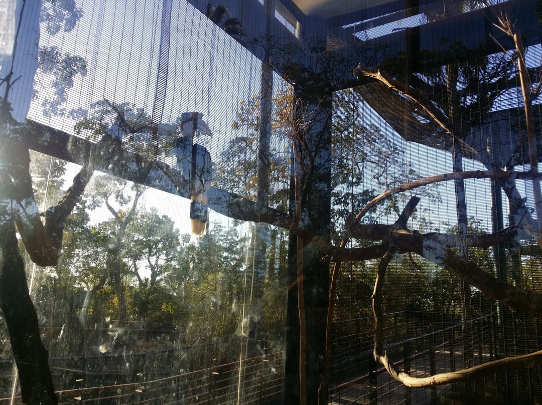 Zoologico Culiacan-Culiacan必去景点