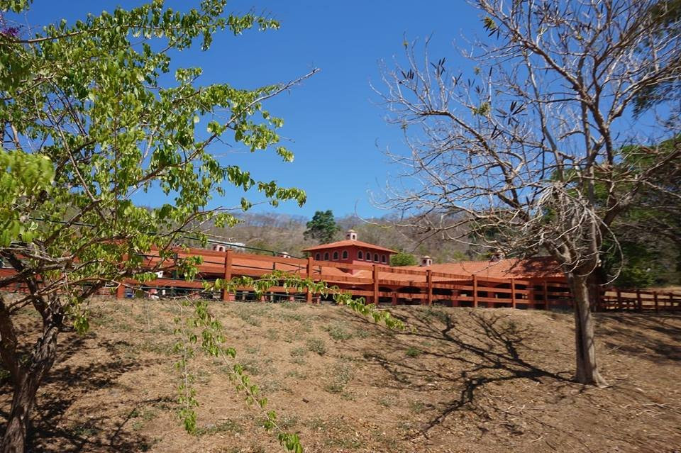 Perla Del Mar Equestrian Center景点图片