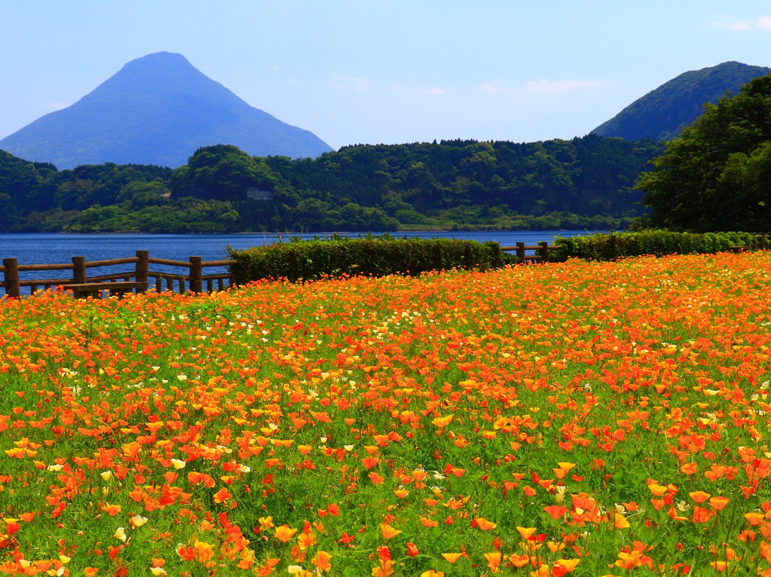 Lake Ikeda-指宿市必去景点