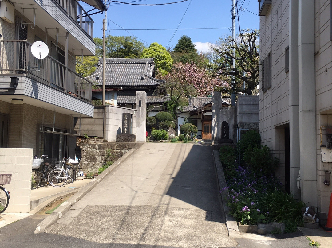 Seiun-ji Temple景点图片