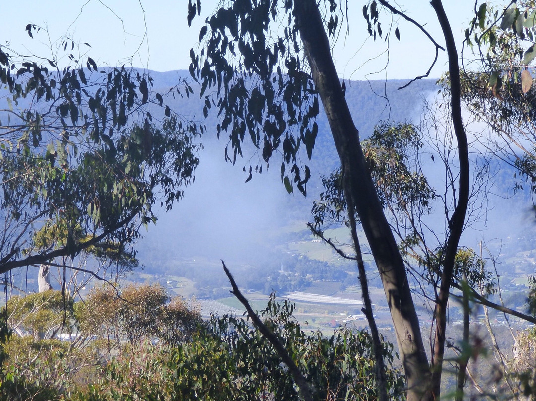 Mount Misery Walk-Huonville必去景点