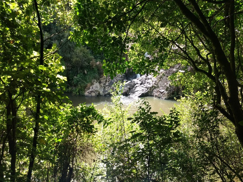Maketu Waterfall-Ramarama必去景点