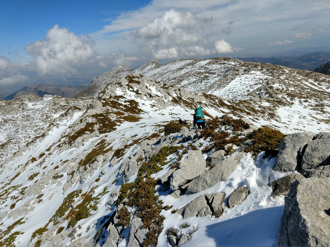 Parque Natural Sierra Magina景点图片