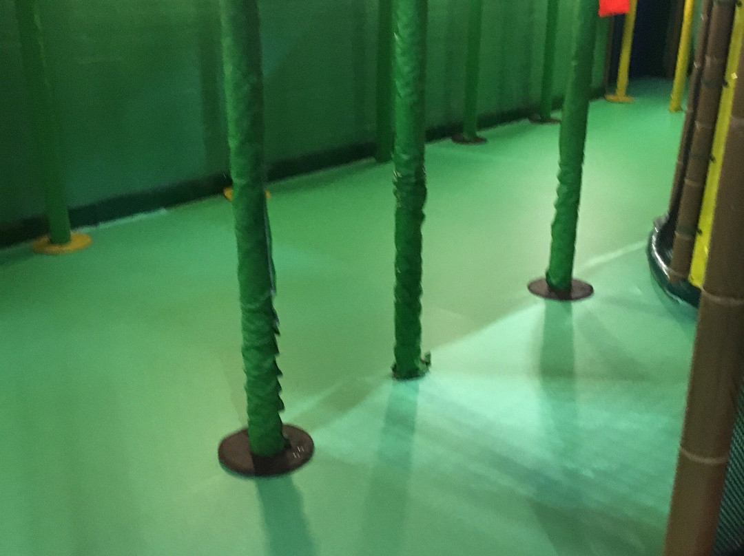 Dundonald International Ice Bowl景点图片