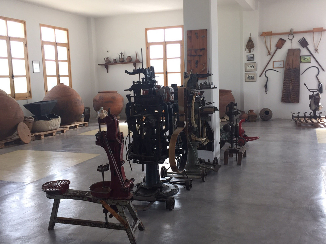 Vasilikon winery-帕福斯必去景点